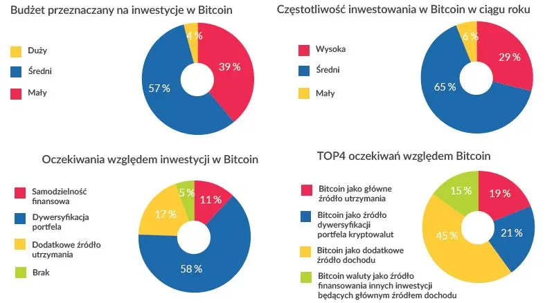 FXMAG kryptowaluty charakterystyka profilu inwestora - bitcoin. inwestor doświadczony bitcoin btc usd btcusd xbt bitcoin kryptowaluty 5
